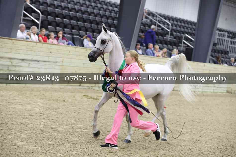 Proof 23R13_07875