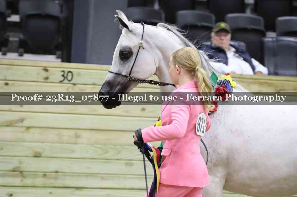 Proof 23R13_07877