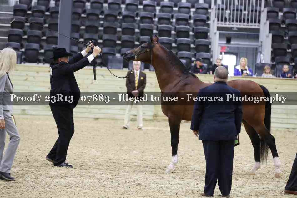 Proof 23R13_07883