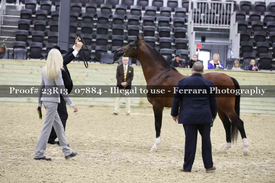 Proof 23R13_07884