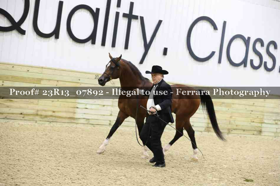 Proof 23R13_07892