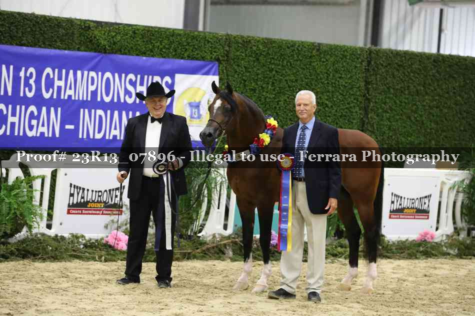 Proof 23R13_07896
