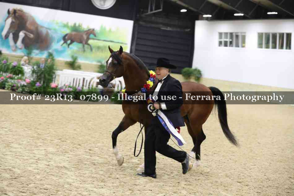 Proof 23R13_07899
