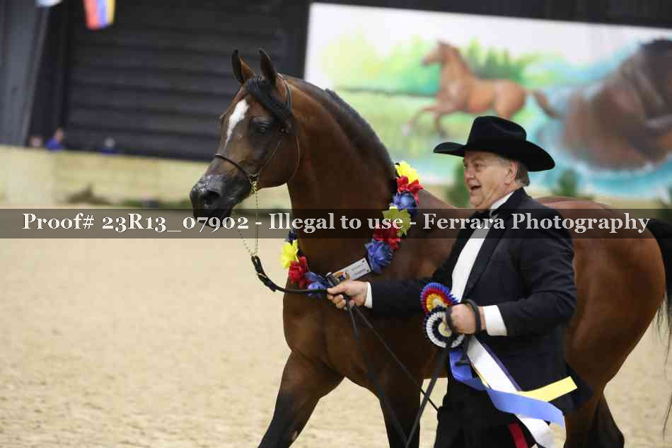 Proof 23R13_07902