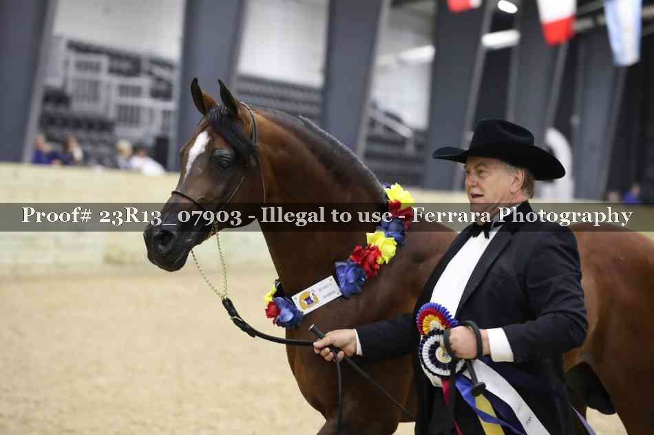 Proof 23R13_07903
