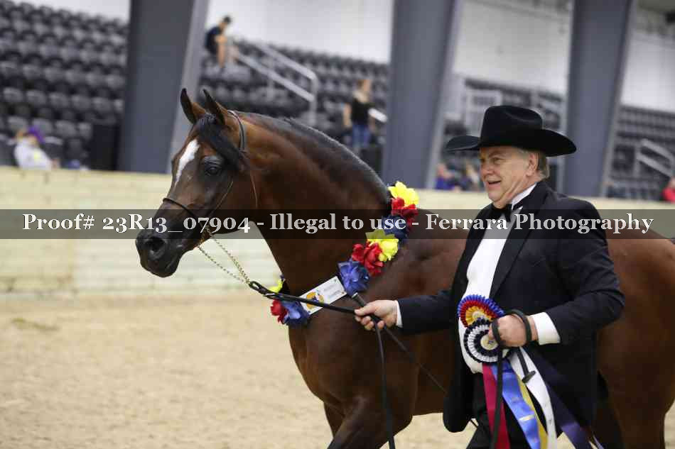 Proof 23R13_07904
