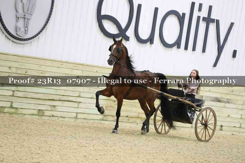 Proof 23R13_07907