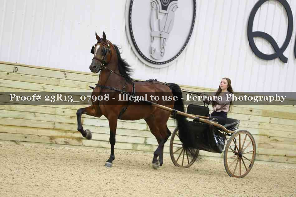 Proof 23R13_07908