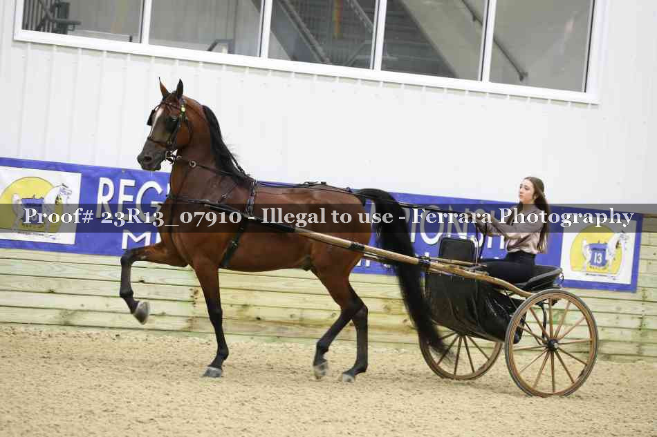Proof 23R13_07910