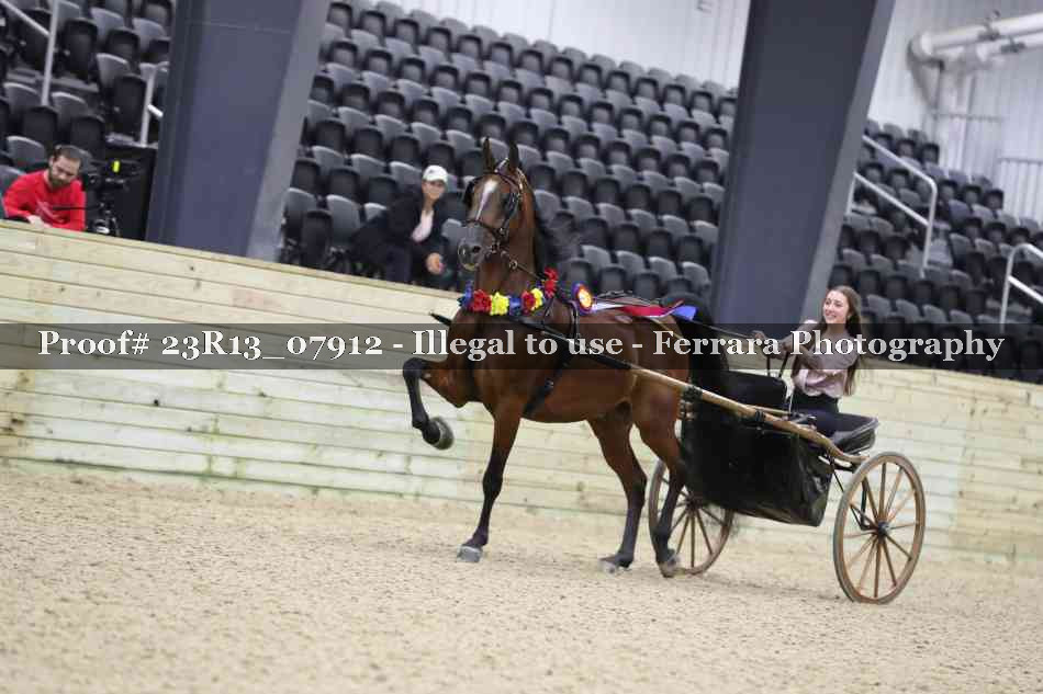 Proof 23R13_07912