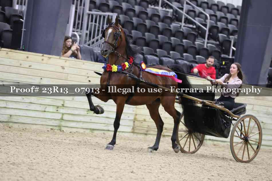 Proof 23R13_07913