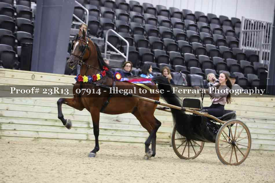 Proof 23R13_07914