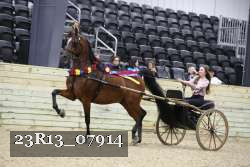 23R13_07914 proof