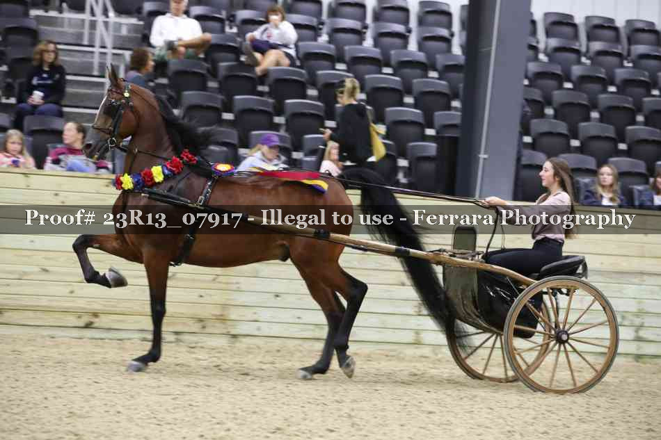 Proof 23R13_07917