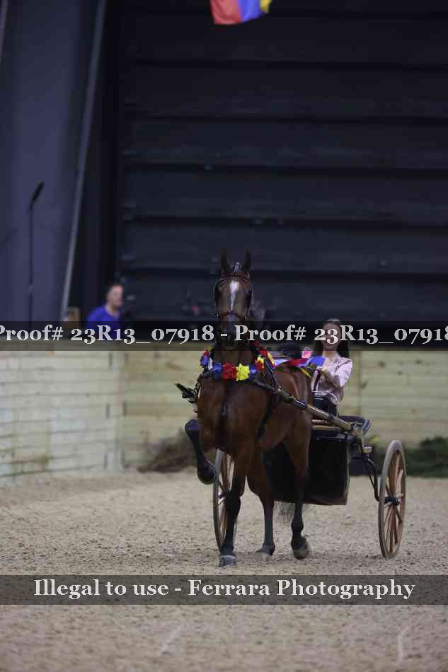 Proof 23R13_07918