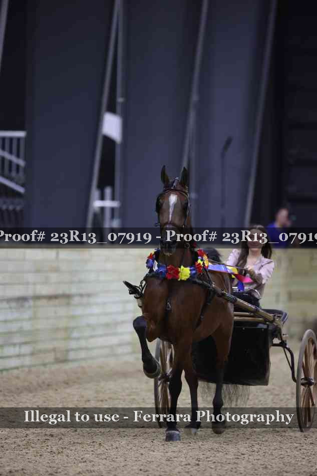 Proof 23R13_07919