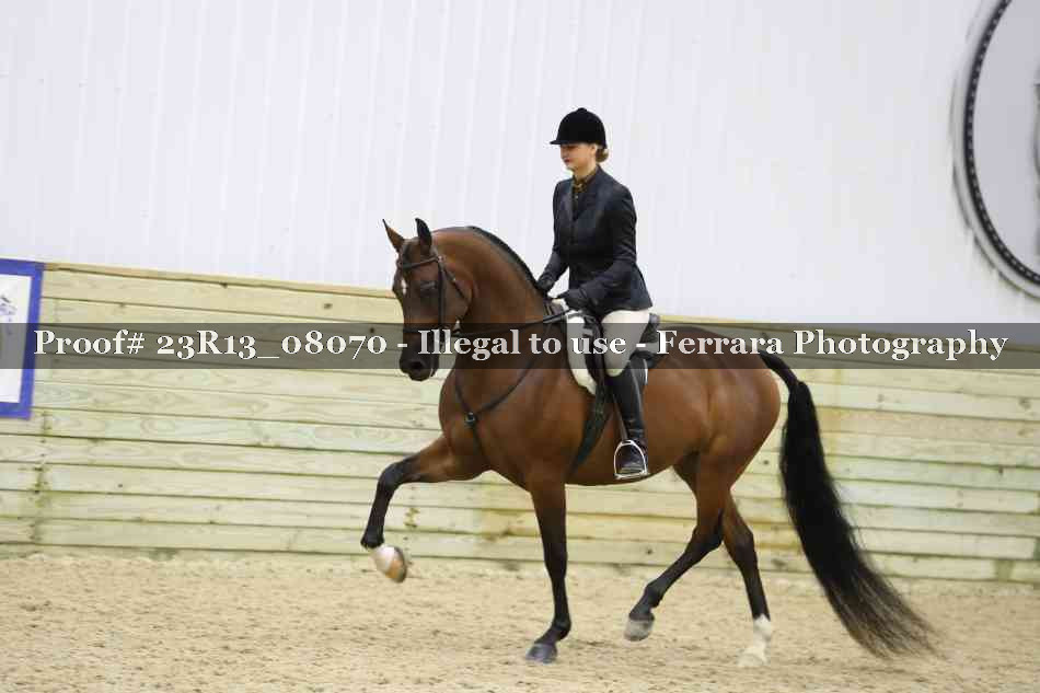 Proof 23R13_08070