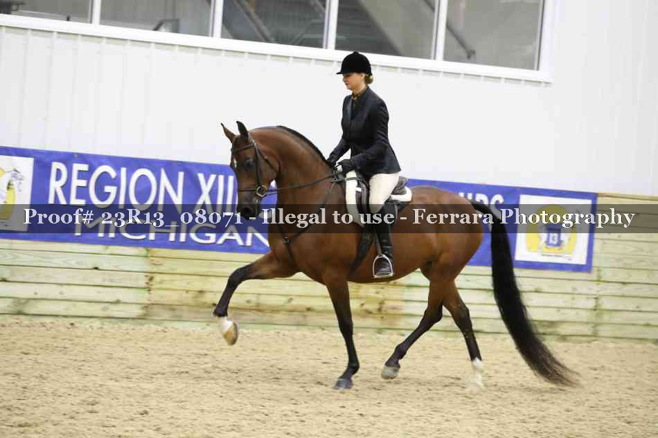 Proof 23R13_08071