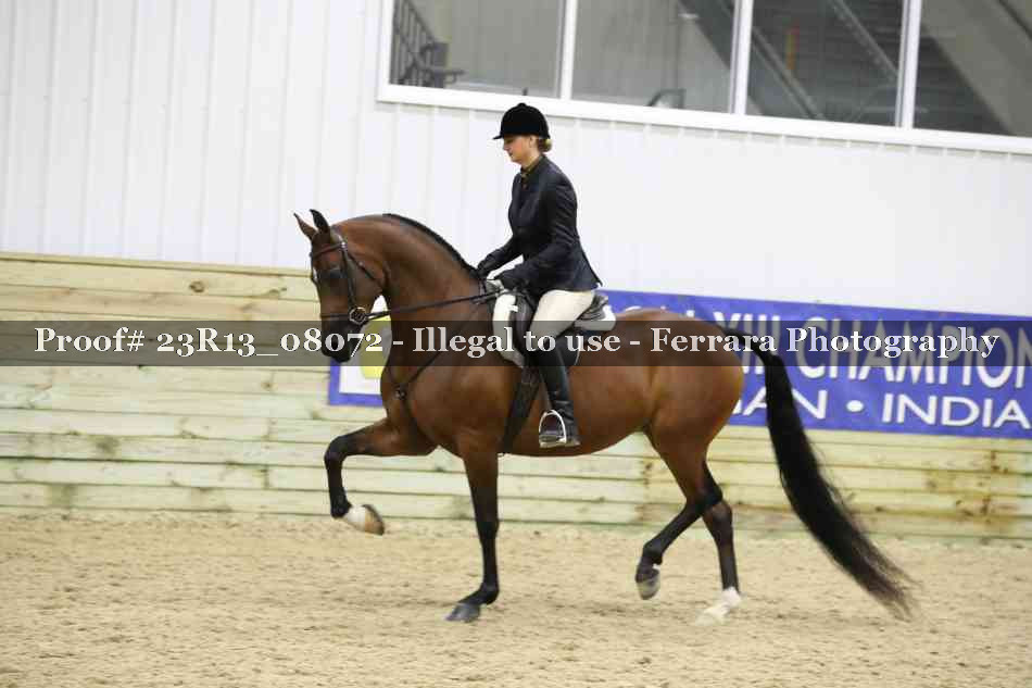 Proof 23R13_08072