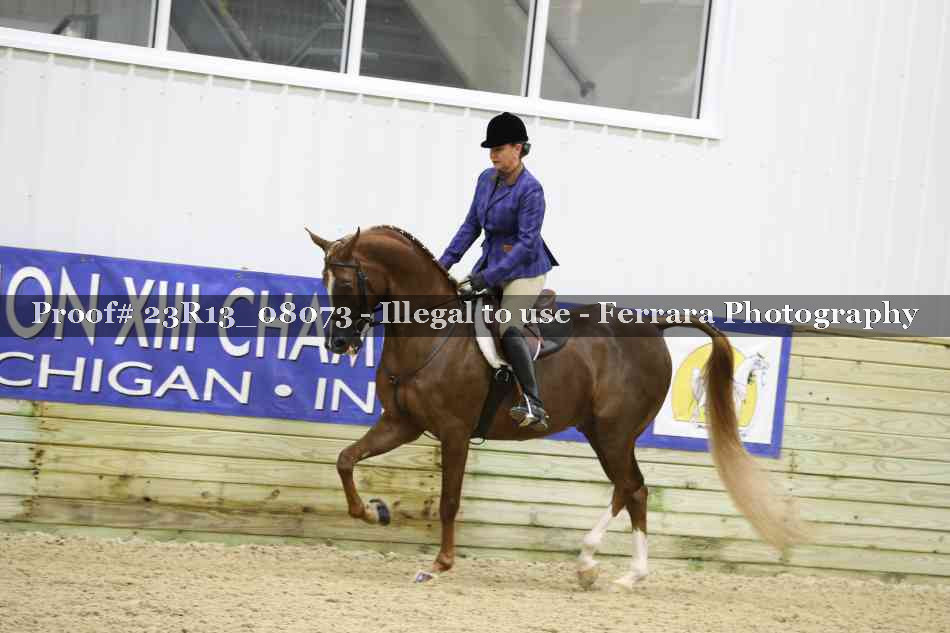 Proof 23R13_08073