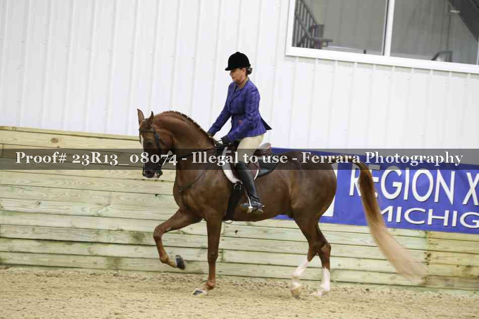 Proof 23R13_08074