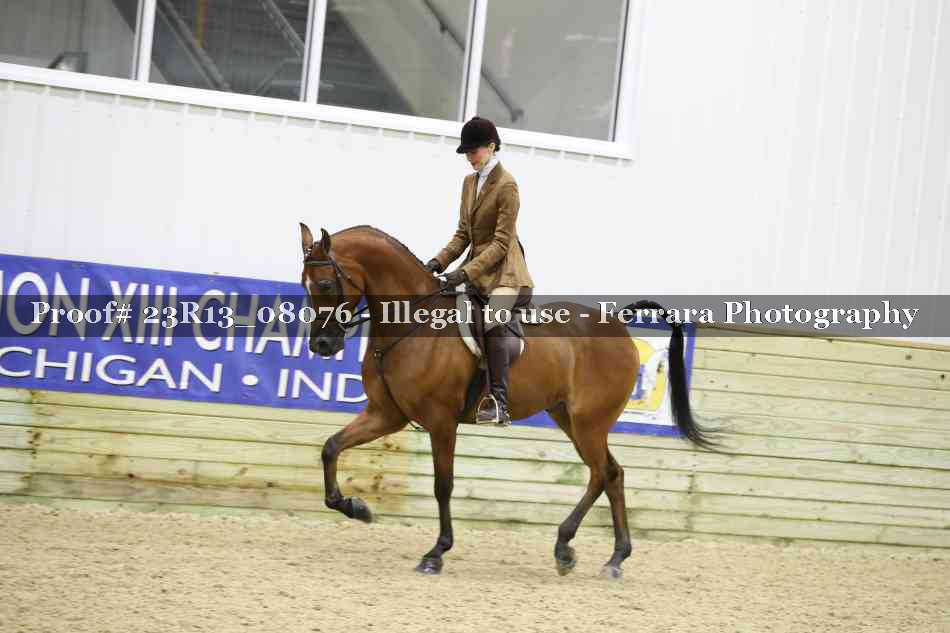 Proof 23R13_08076