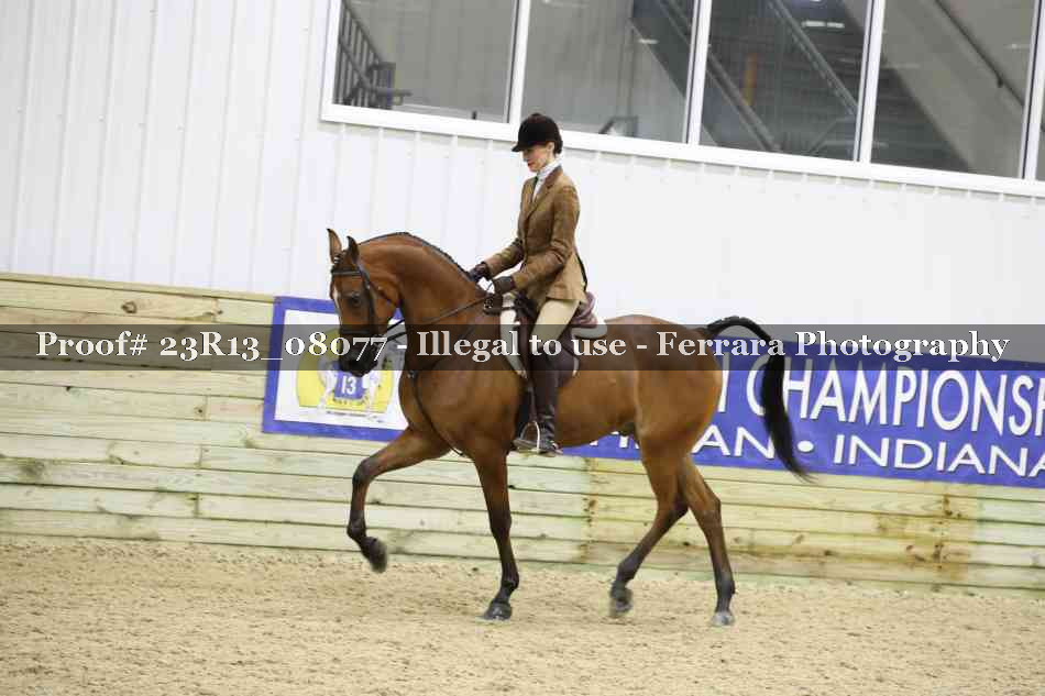 Proof 23R13_08077