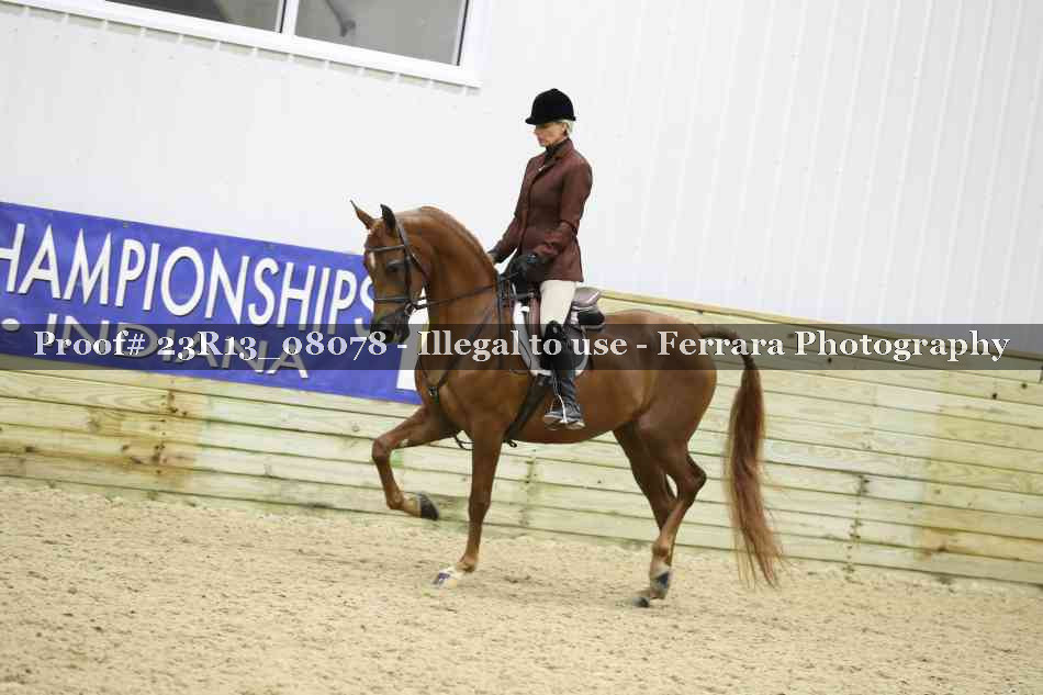 Proof 23R13_08078