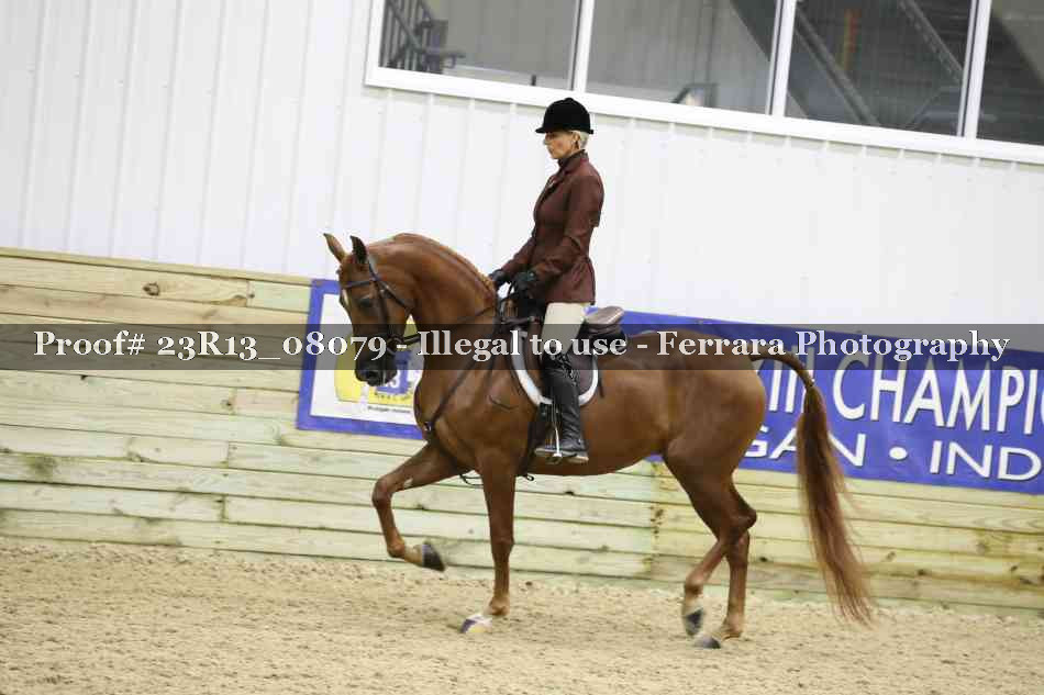 Proof 23R13_08079