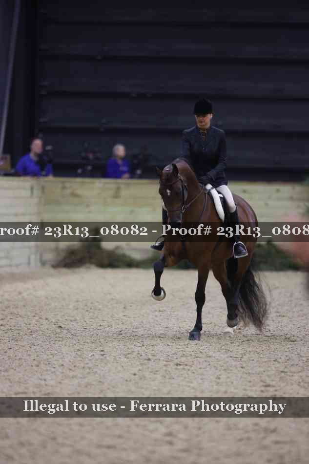 Proof 23R13_08082
