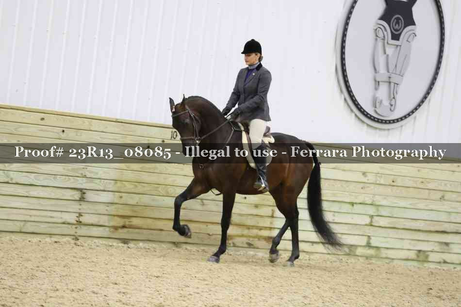 Proof 23R13_08085