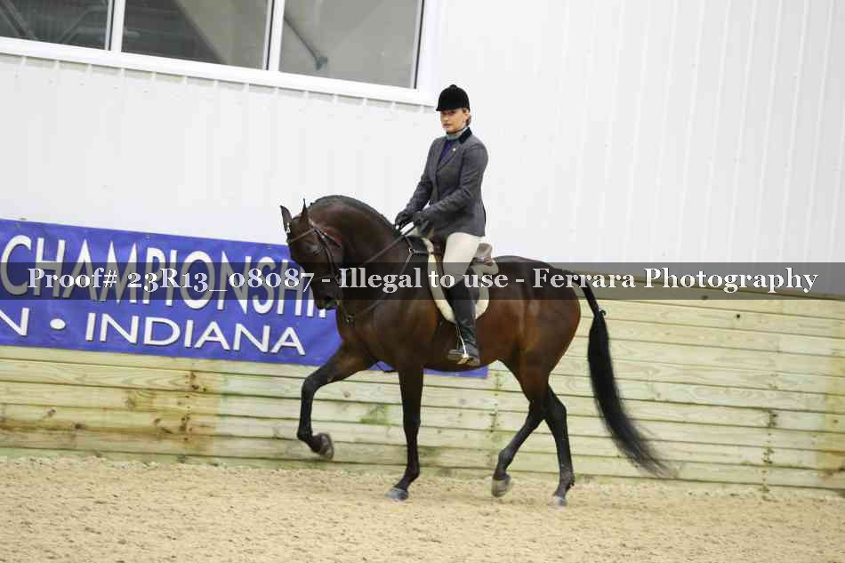 Proof 23R13_08087