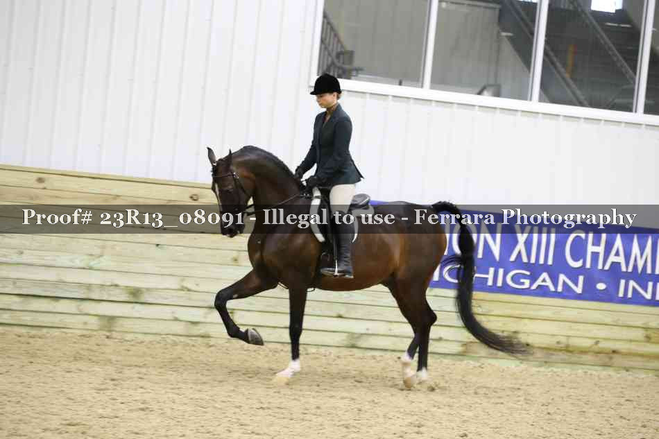 Proof 23R13_08091