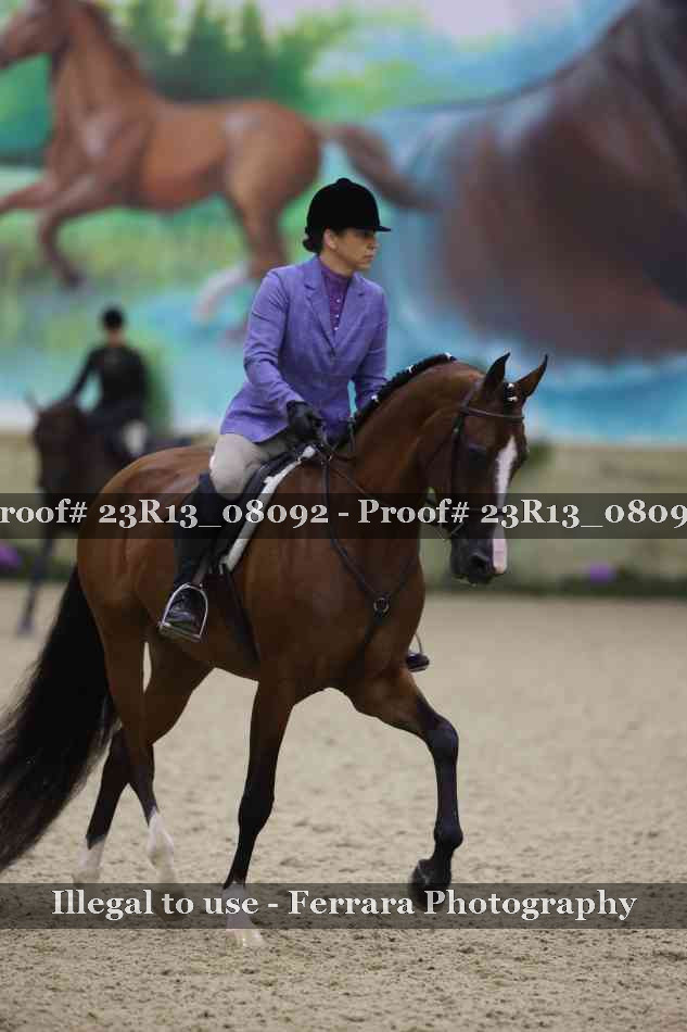 Proof 23R13_08092
