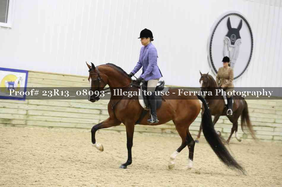 Proof 23R13_08093