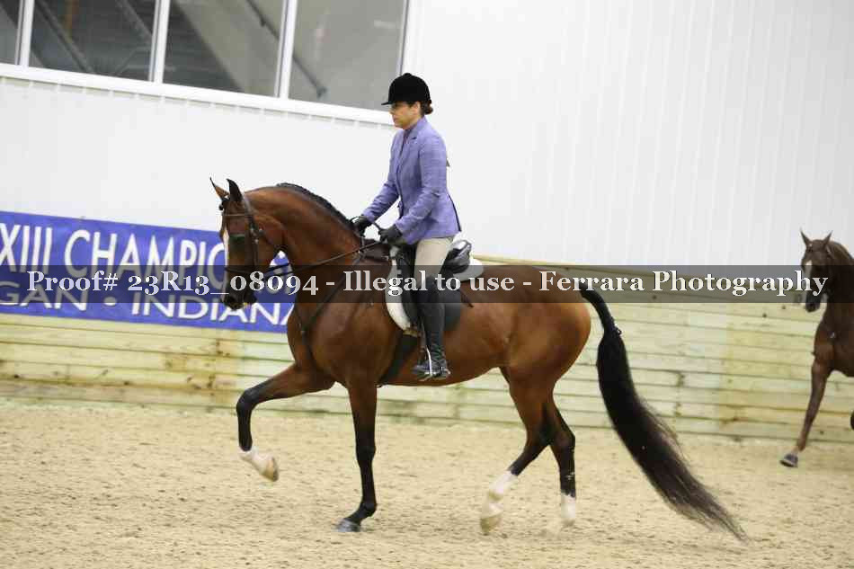 Proof 23R13_08094