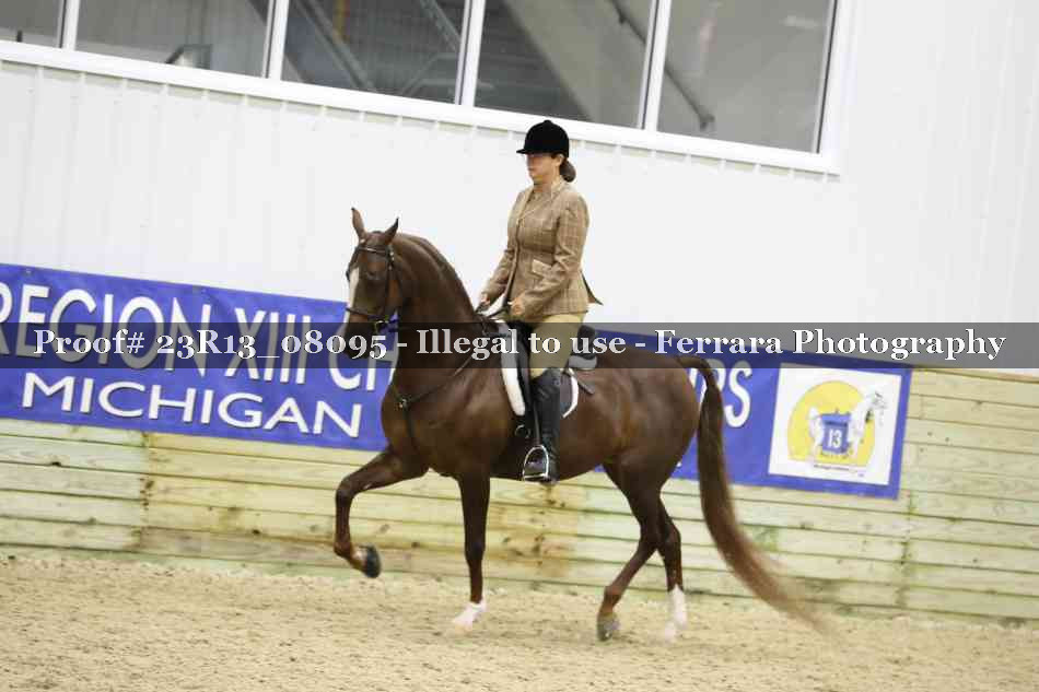 Proof 23R13_08095