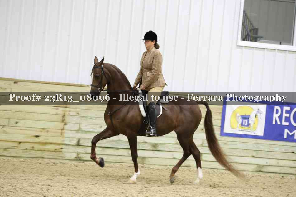 Proof 23R13_08096