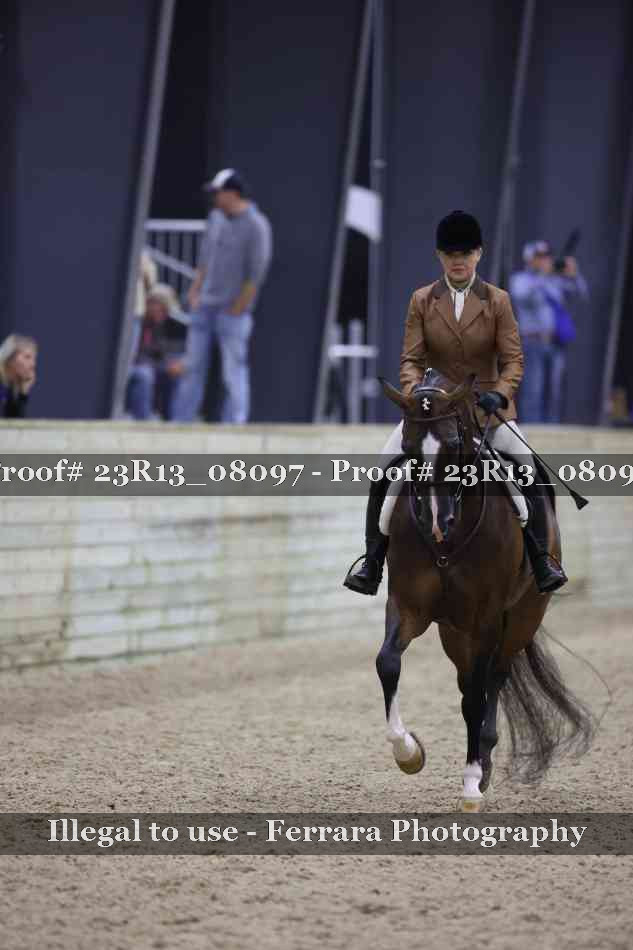 Proof 23R13_08097