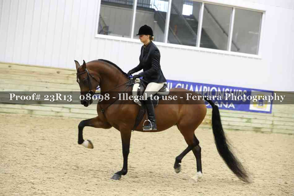Proof 23R13_08098