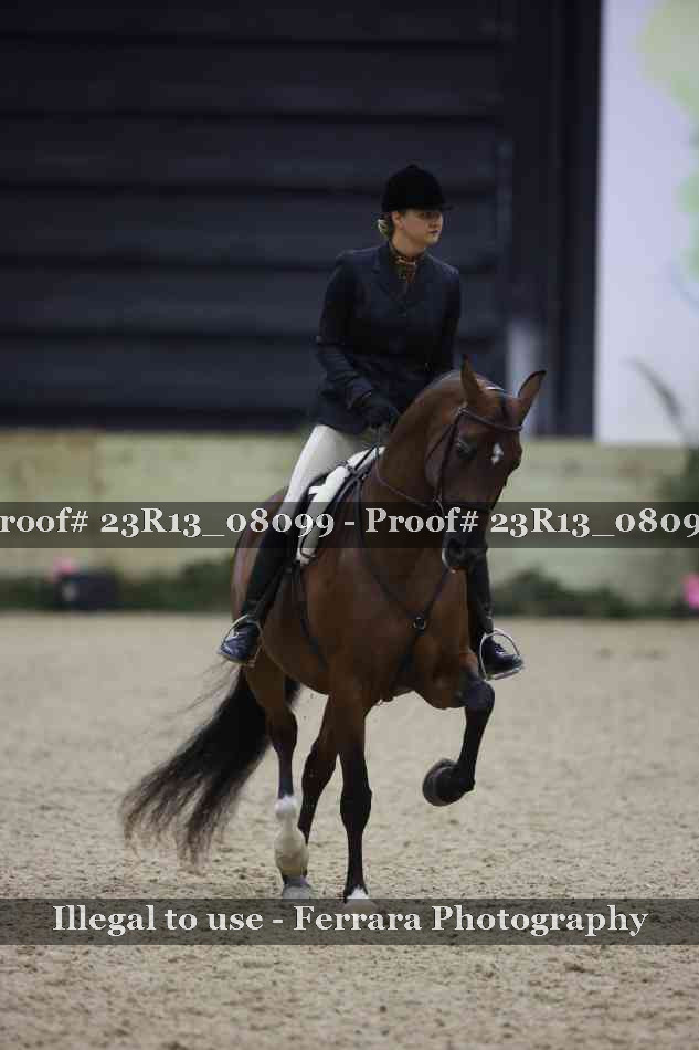 Proof 23R13_08099