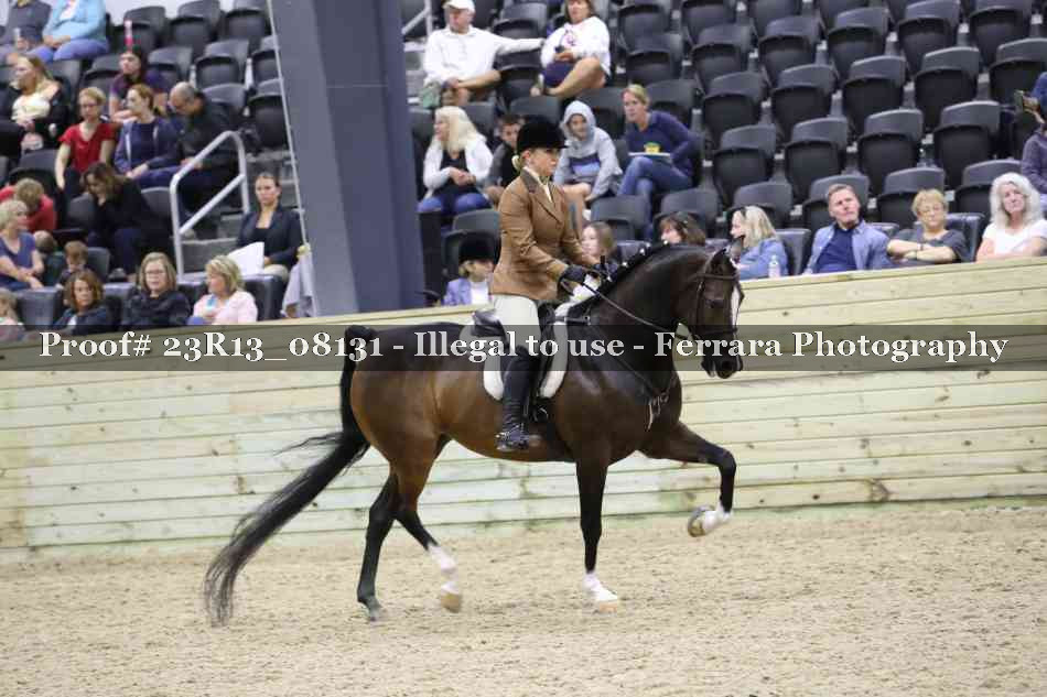 Proof 23R13_08131