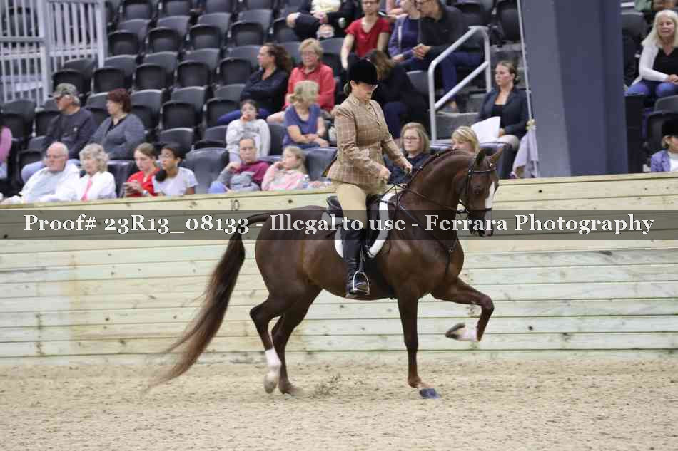 Proof 23R13_08133