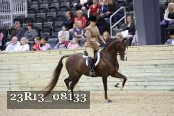 23R13_08133 proof