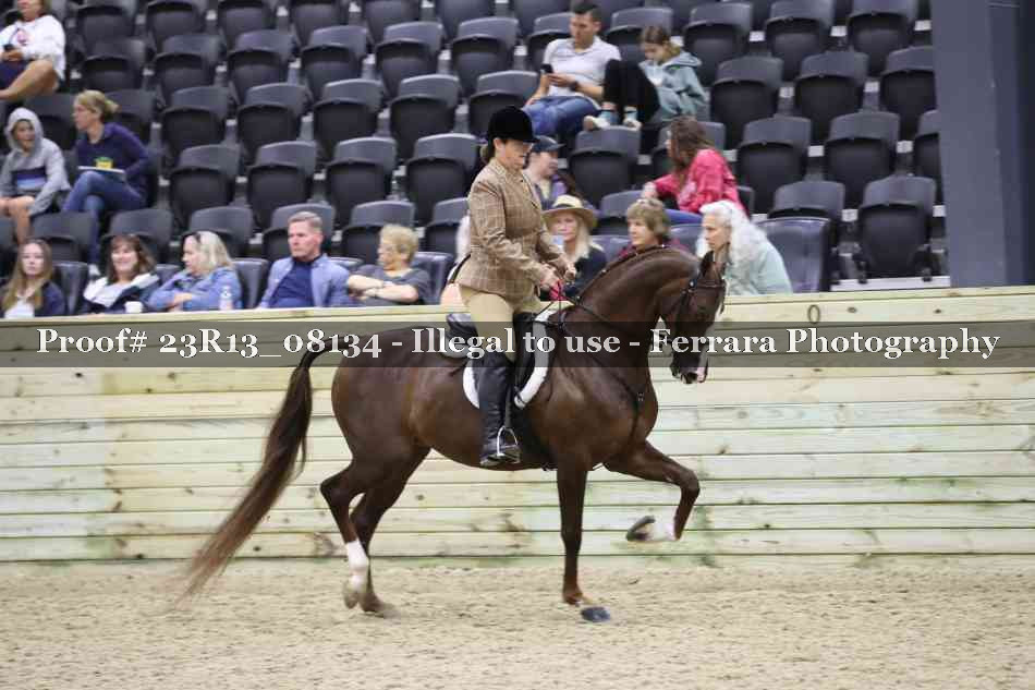 Proof 23R13_08134