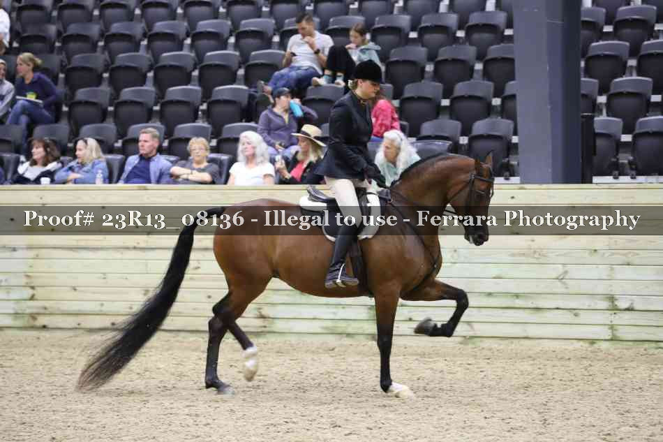 Proof 23R13_08136