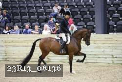 23R13_08136 proof