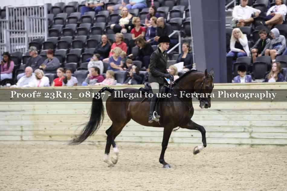 Proof 23R13_08137