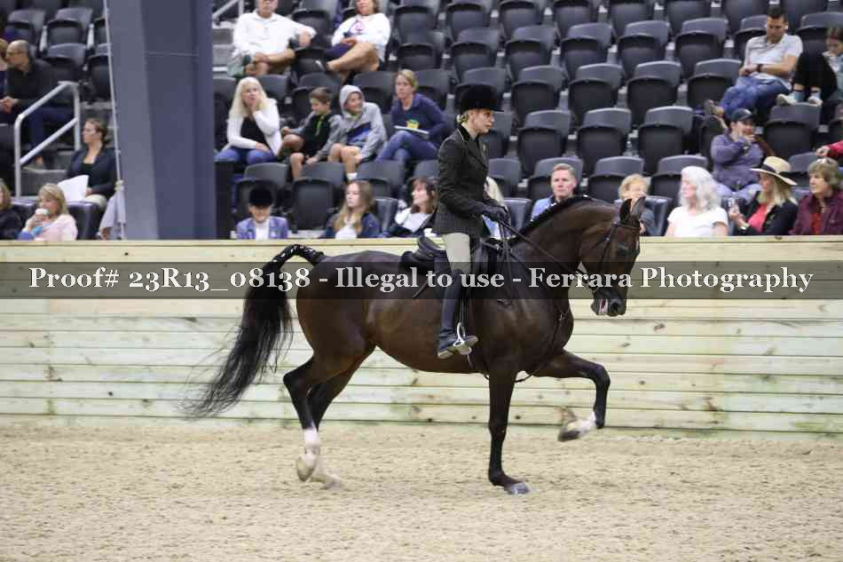 Proof 23R13_08138