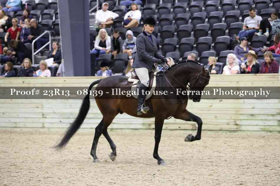 Proof 23R13_08139